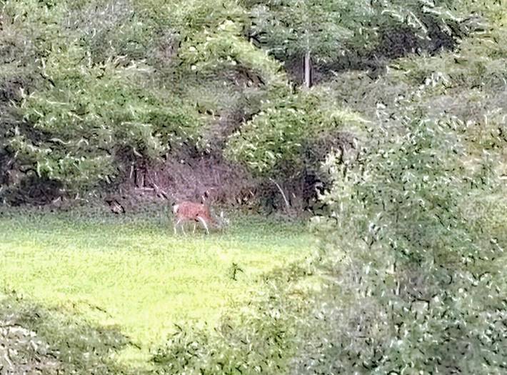 Gîte pour 5 personnes, avec vue à Canfranc - 2
