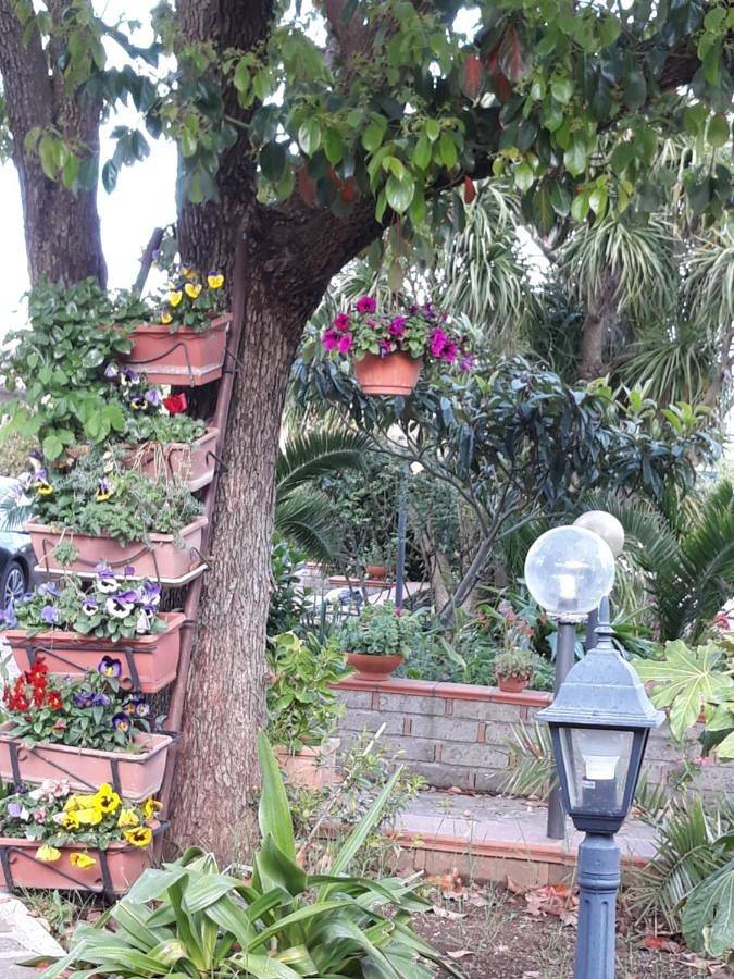 La Camelia B&B in Velletri, Castelli Romani