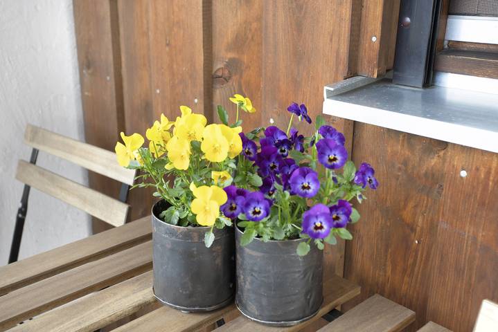 Studio für 4 Personen, mit Balkon in Teisendorf - 3