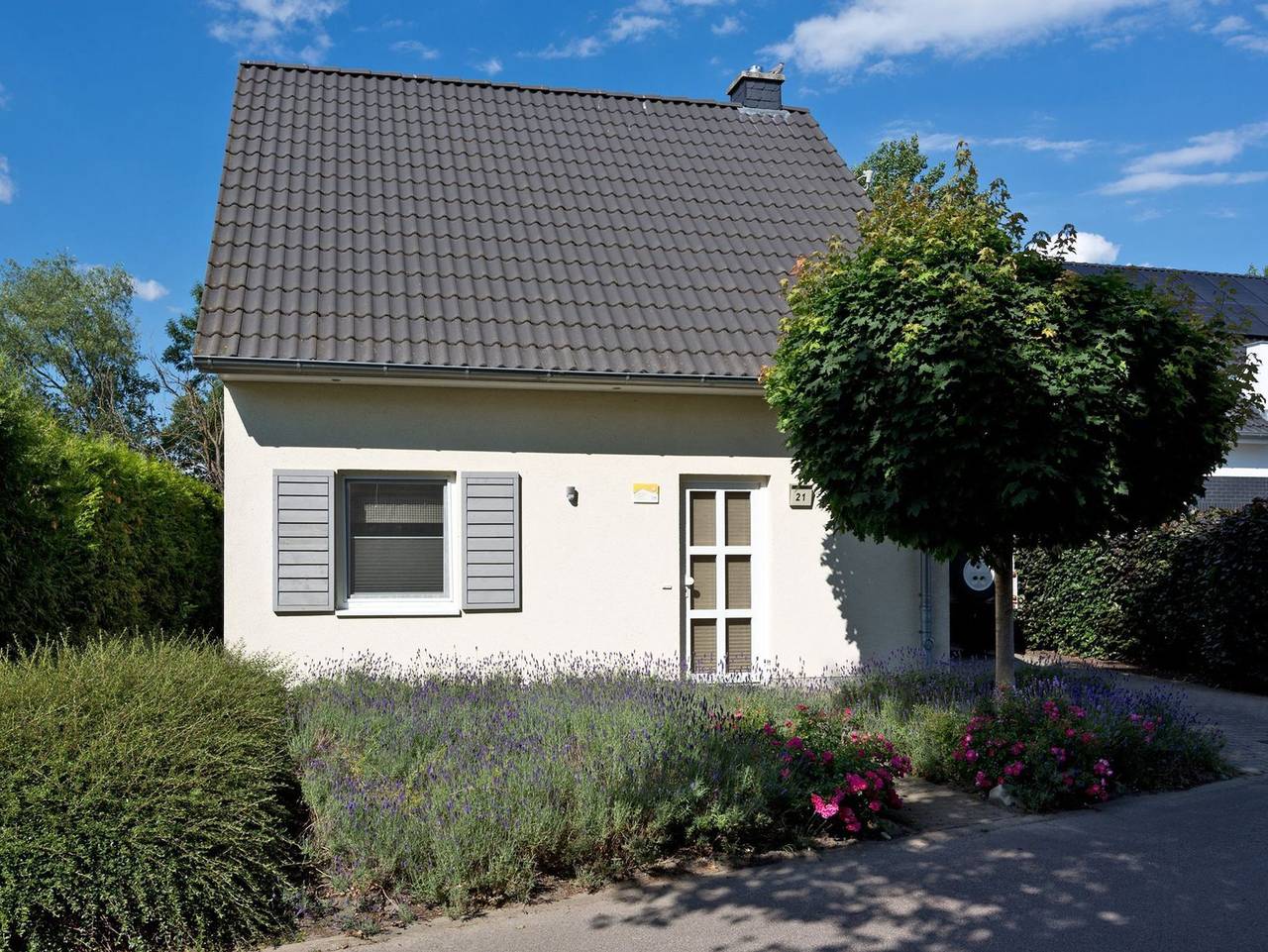 Ferienhaus Ahorn - Ferienhaus Ahorn in Göhren-Lebbin, Fleesensee