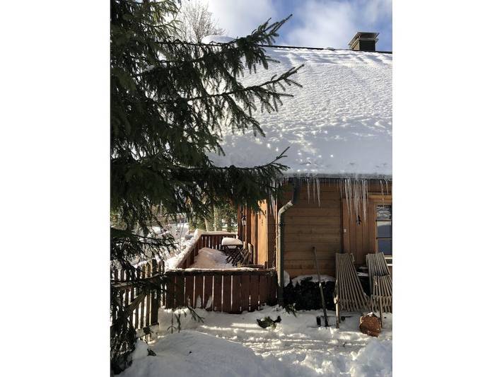 Ferienhaus für 8 Personen, mit Terrasse und Sauna, mit Haustier in Feldberg - 3