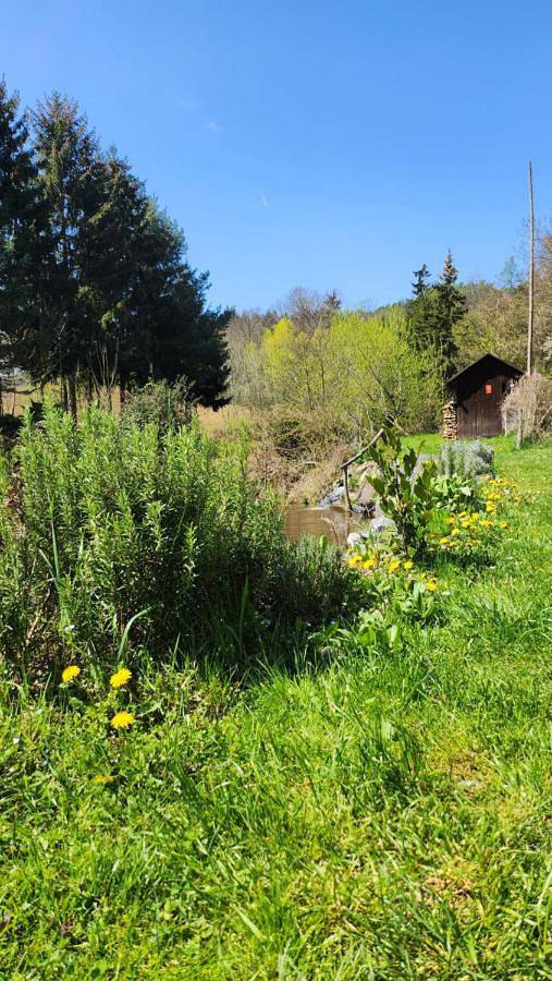 Offgrid Haus am Angelteich in Obritzberg-Rust, Mostviertel Region