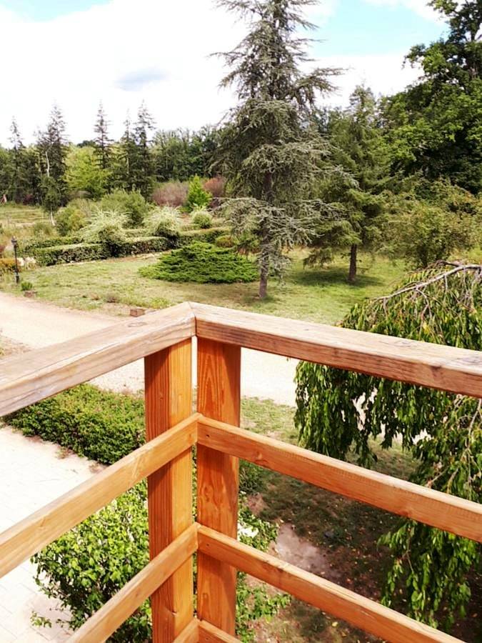 Chambre d’hôte pour 6 personnes, avec terrasse ainsi que jardin et vue à Chaumont-sur-Tharonne - 4