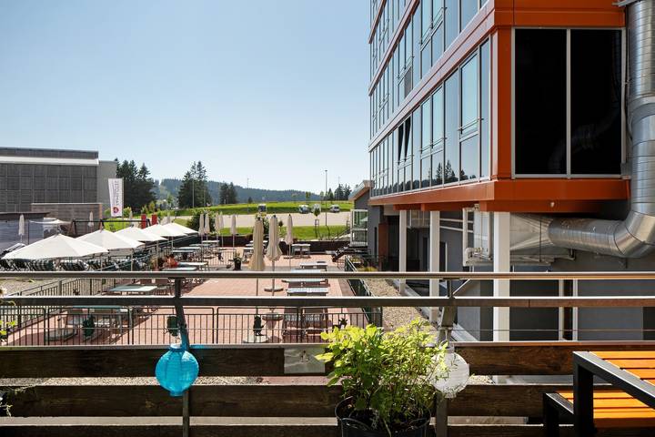 Ferienwohnung für 5 Personen, mit Balkon in Feldberg - 2