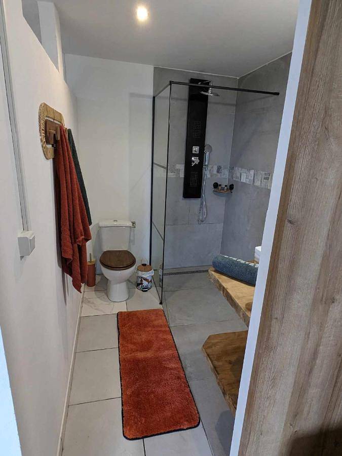 Gîte pour 4 personnes, avec vue et terrasse à L'Étang-Salé - 4