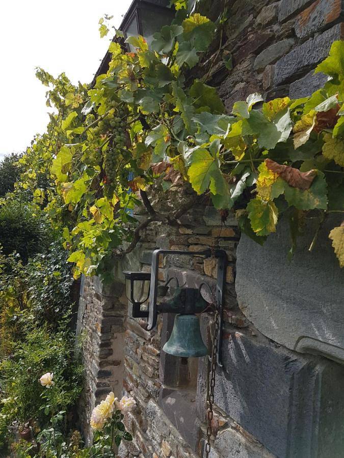 Le clos du Tay in La Gacilly, Région de Vannes