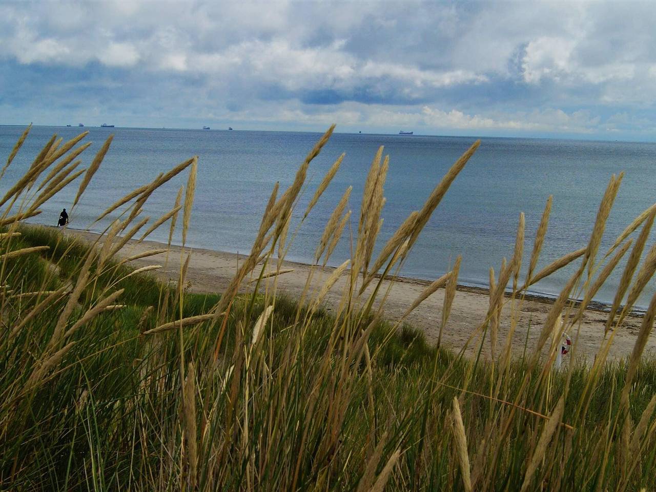 Koselig strandtilflukt in Lodskovvad, Ålbæk