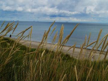 Hus för 4 Personer i Ålbæk, Nordöstra Jylland, Bild 3