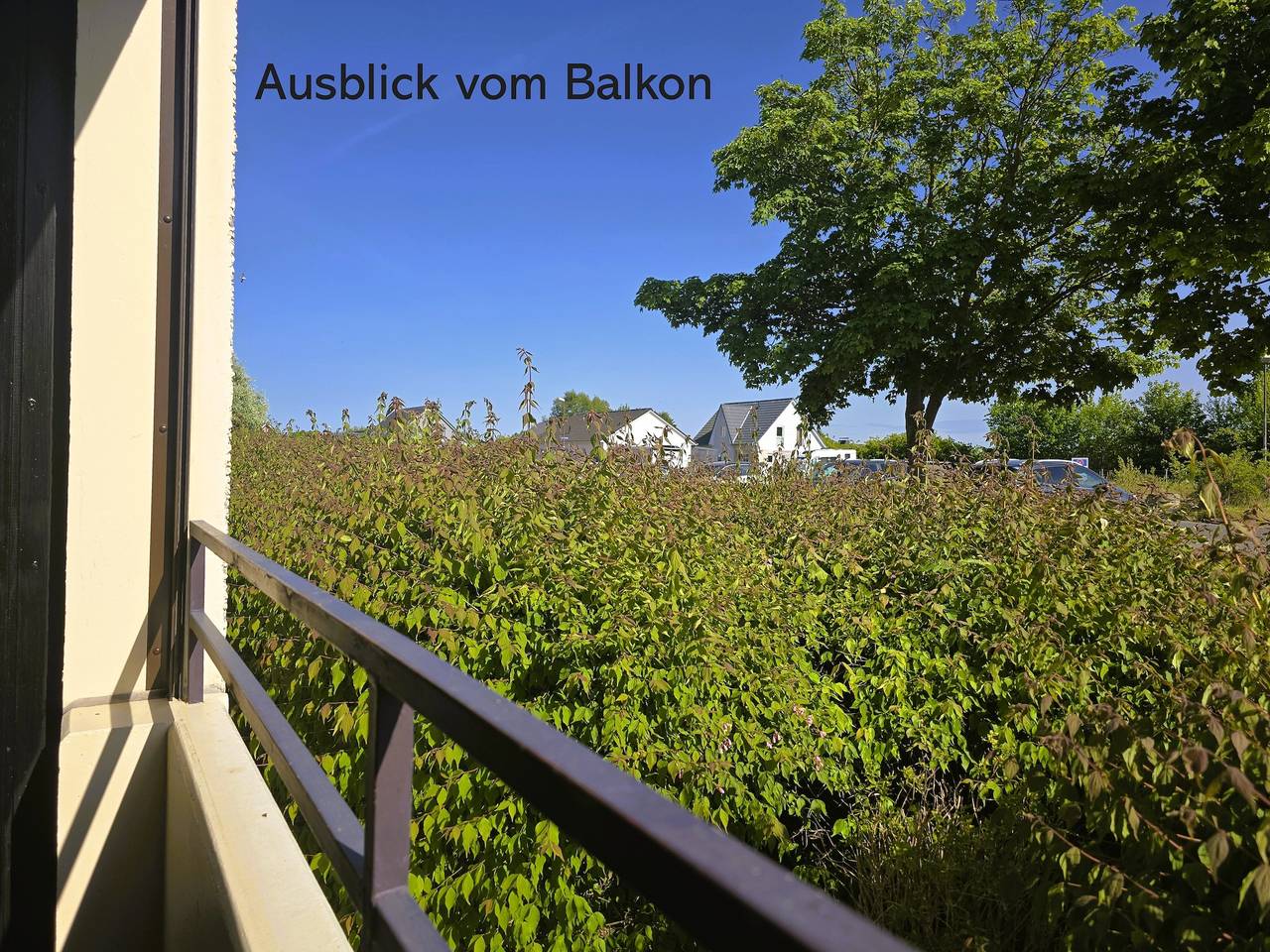 Ganze Ferienwohnung, Austernfischer in Wendtorfer Strand, Wendtorf