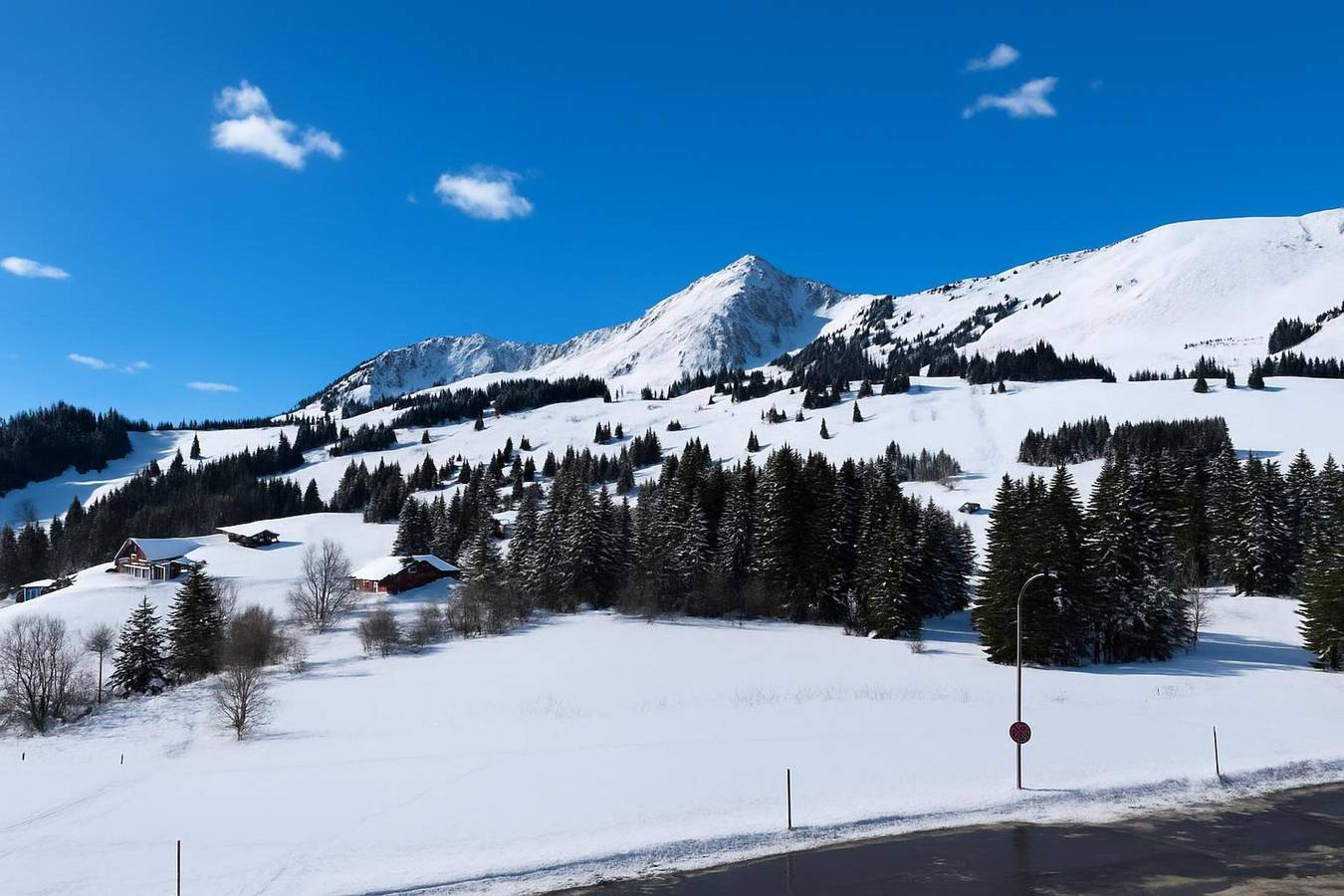 Hotel Relais Grand Family Loft & Balcony2 in Les Mosses, Ormont-Dessous