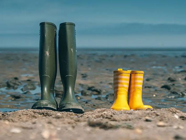 Ferienpark für 6 Personen, mit Garten und Pool, mit Haustier am Jadebusen - 2