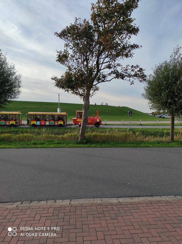 Ganze Ferienwohnung, Appartmenthaus Trischenweg 1 - Fewo Seagull - 1-Raum-Appartment Seagull in Büsum, Kreis Dithmarschen