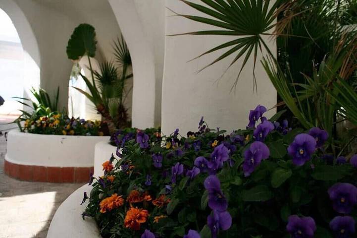 Bilocale, terrazzo, vista mare, soppalco, pianoterra (Oleandro) in Anzio, Provincia di Roma