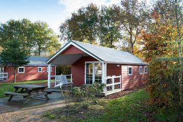 Glamping voor 4 Personen in Veluwe, Gelderland, Afbeelding 1