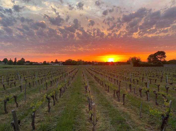 Location de vacances pour 6 personnes, avec jardin et terrasse à Blaye - 4