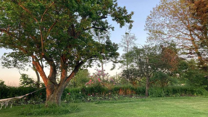 Ferienhaus für 7 Personen, mit Terrasse und Whirlpool in Kvie Sø - 4