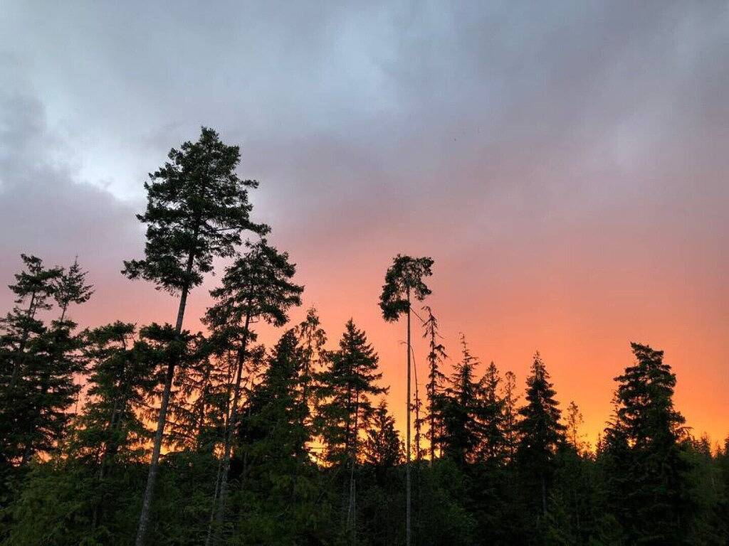 Ozeanansicht, offener Plan mit herausgestelltem Grundgestein in Sunshine Coast Regional District