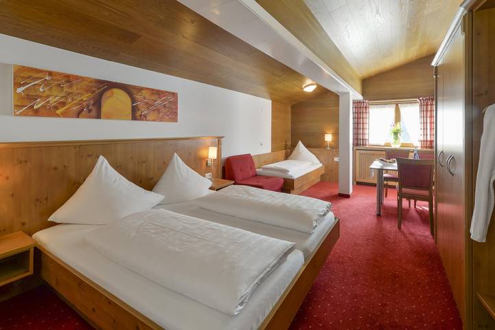 Hotel für 4 Personen, mit Garten und Sauna, mit Haustier in Dalaas - 4