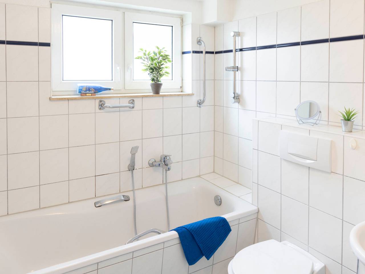 Blaumuschel, foto 6