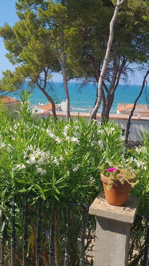 Location de vacances pour 3 personnes, avec Balcon et Terrasse ainsi que Jardin et Vue à Vico del Gargano - 2