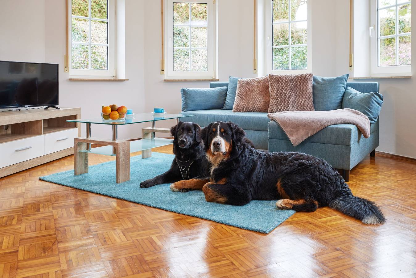Ganze Wohnung, Ferienwohnung 'Die Landgräfinnen' mit Gemeinschaftsterrasse, Gemeinschaftsgarten und Wlan in Schwalmstadt, Schwalm-Eder-Kreis