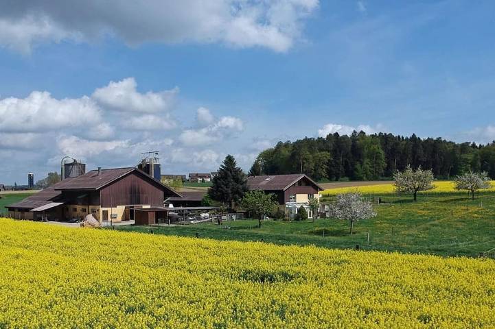 Ferienwohnung für 5 Personen, mit Garten