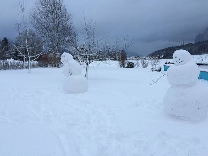 Ferienwohnung für 4 Personen, mit Pool und Balkon sowie Garten und Ausblick am Mondsee - 2