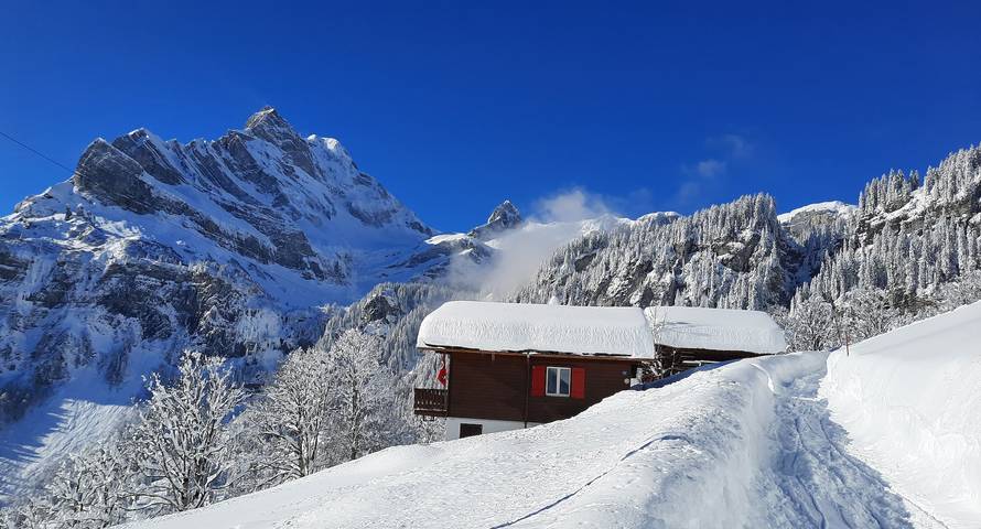 Ganze Ferienwohnung, Chalet Meta Nr. 150 - 3 Zimmer Wohnung in Glarus Süd, Kanton Glarus