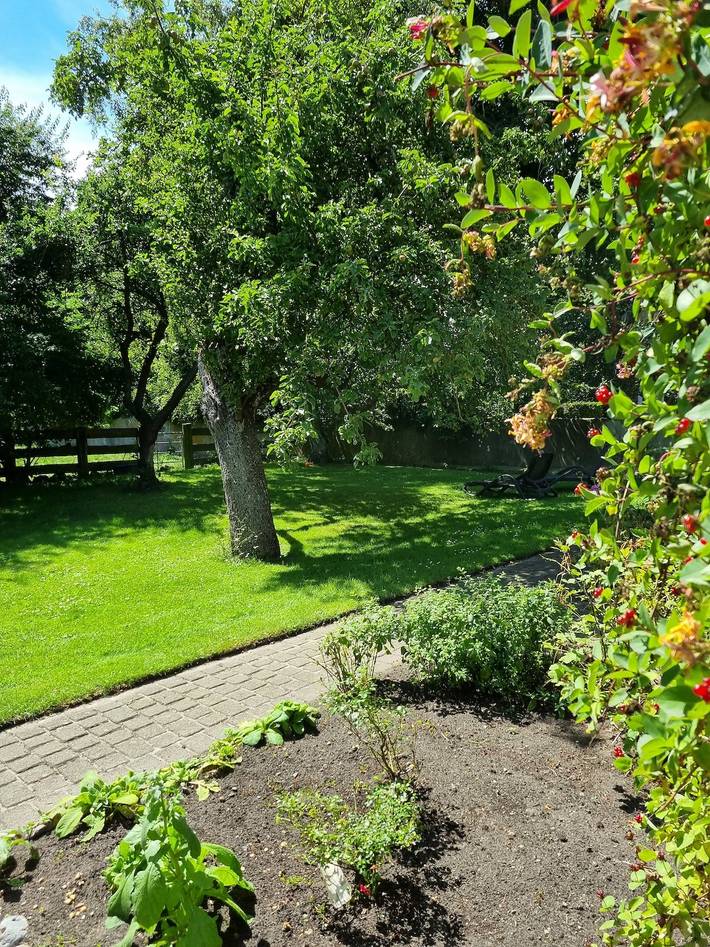 Ferienhaus für 4 Personen, mit Garten und Terrasse in Bisdorf - 2