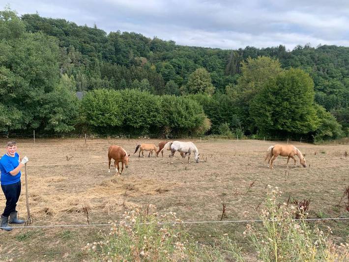 Gîte pour 6 personnes, avec jardin, adapté aux familles à Winkel - 4
