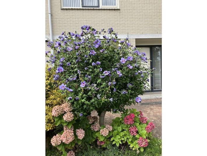 Gemütliche Ferienwohnug in Diemen, Holländische Küste