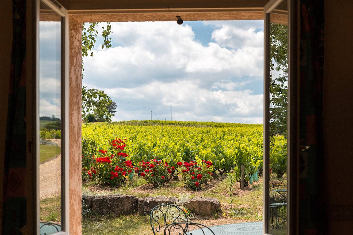 Gite du Domaine Passot-Collonge in Villié-Morgon, Beaujolais