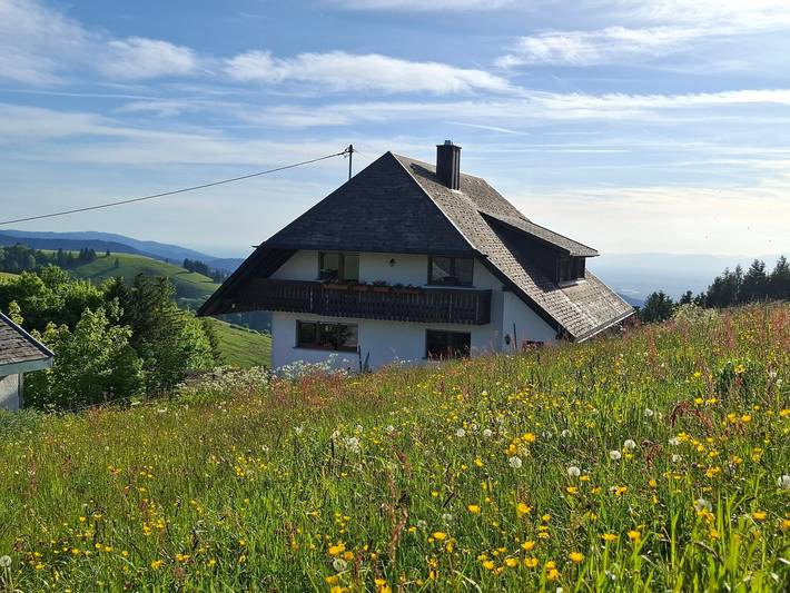 Gîte pour 3 personnes, avec balcon, animaux acceptés à Münstertal