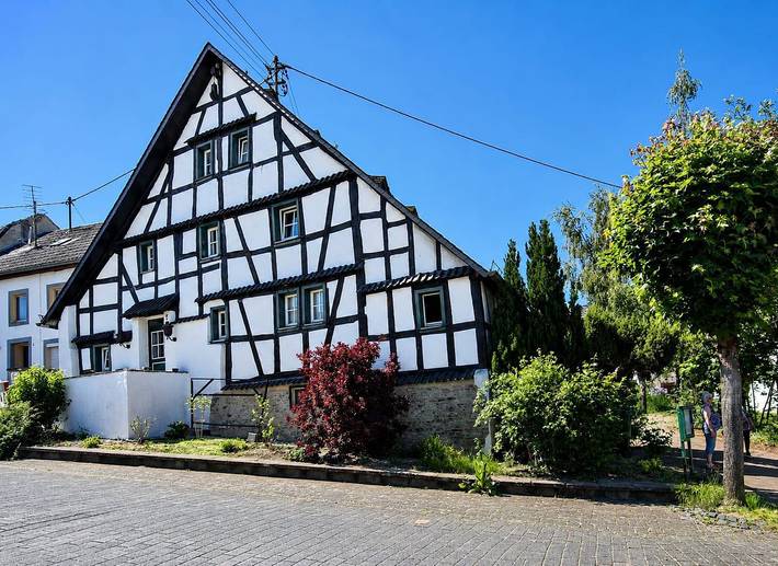 Ferienhaus für 5 Personen, mit Terrasse, mit Haustier in Schalkenmehren - 4
