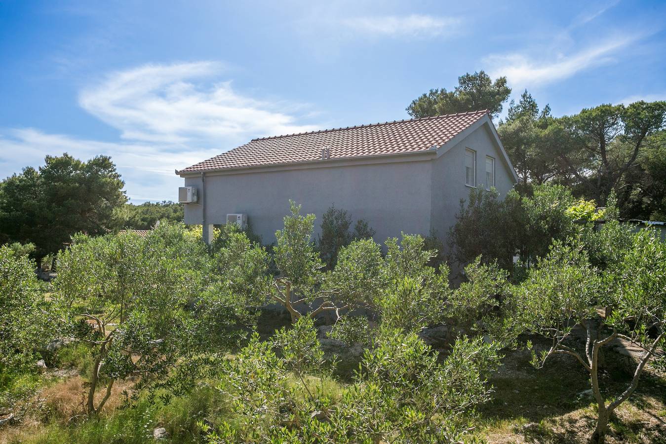 Ganze Wohnung, 1-Zimmer-Ferienwohnung mit Terrasse und Meerblick Bucht Smrčeva, Brac A-20193-a in Milna, Brac