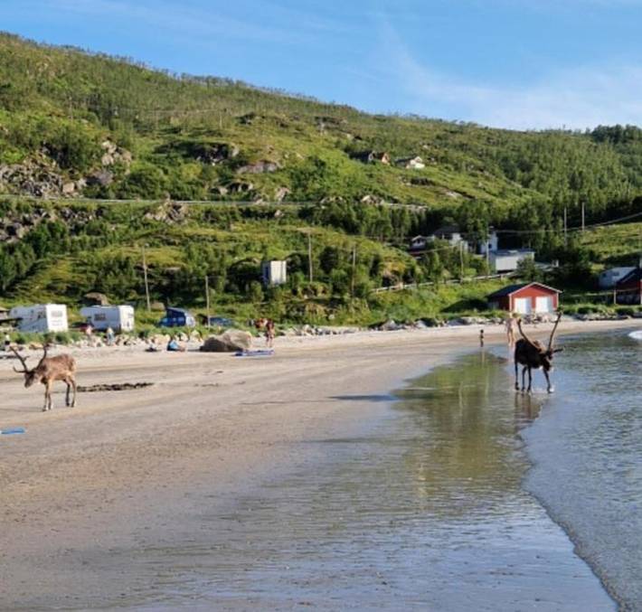 Ferienhaus für 7 Personen, mit Garten und Ausblick in Tromsø - 4