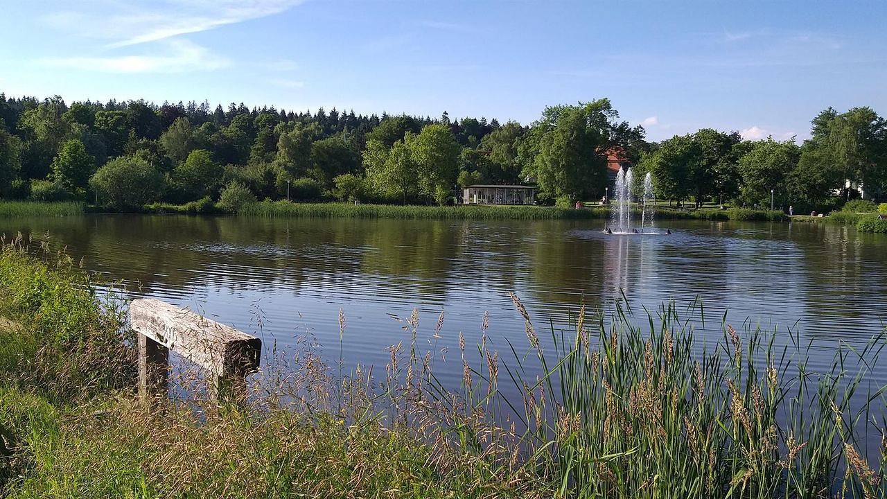 Appartement de vacances entier, Appartement de vacances pour 3 personnes avec vue in Hahnenklee, Goslar