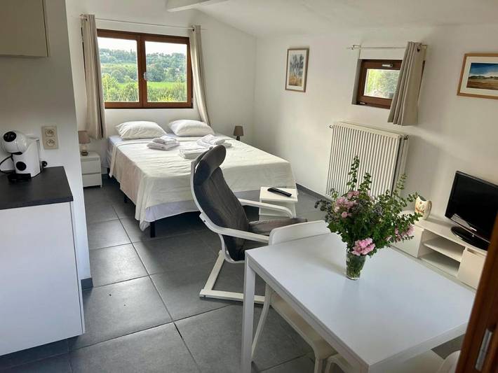 Gîte pour 2 personnes, avec vue ainsi que vue sur le lac et jardin à Ittre (Belgique) - 2