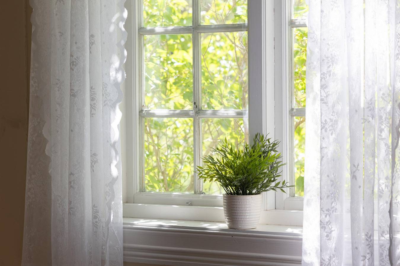 Kvitehuset - 60 min fra Osl - Natur - Innsjø in Stange