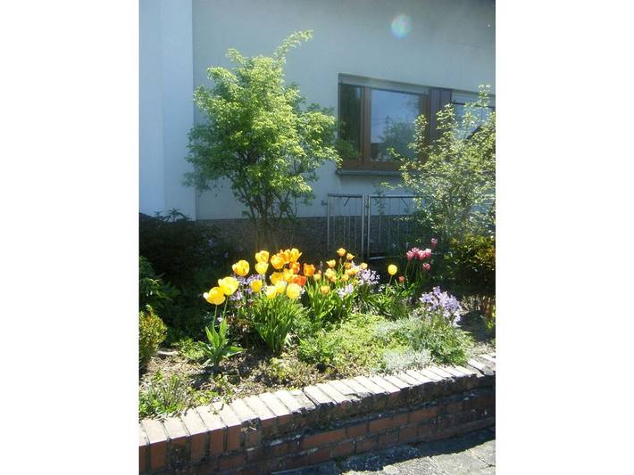 Ferienhaus für 4 Personen, mit Terrasse in Merzig - 4