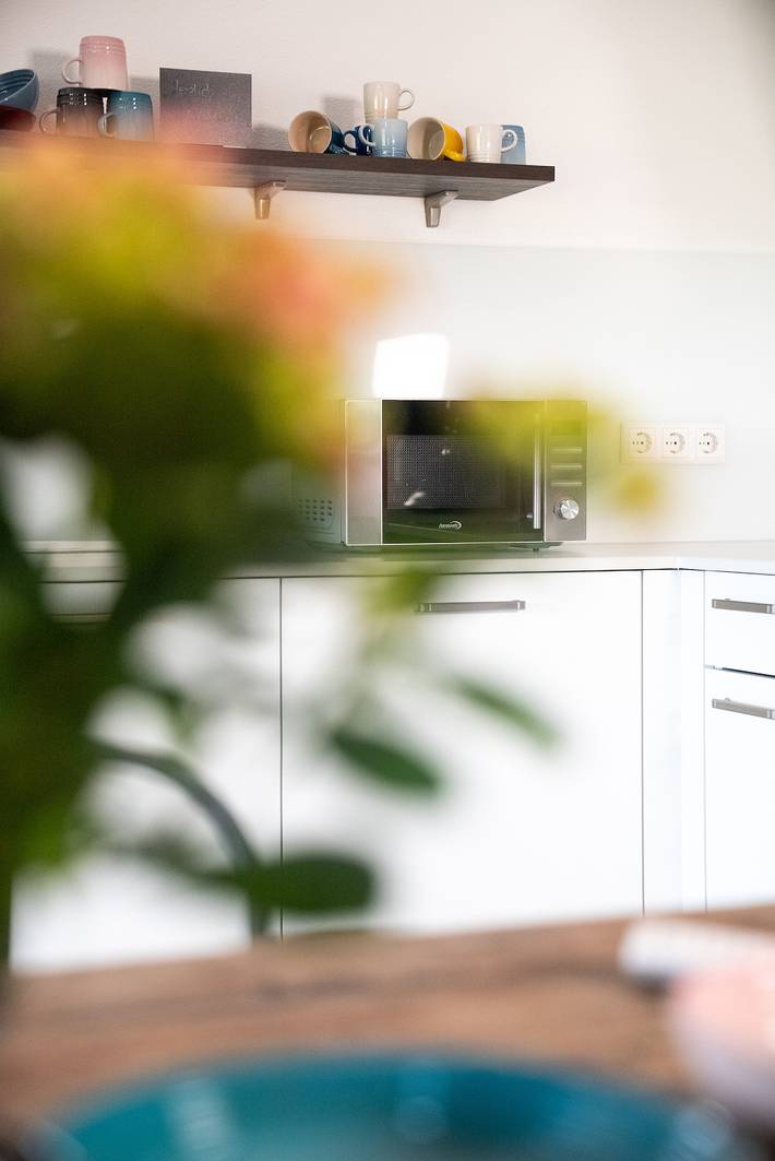 Gîte pour 5 personnes, avec Balcon et Jacuzzi ainsi que Terrasse et Jardin à Bonndorf im Schwarzwald - 3
