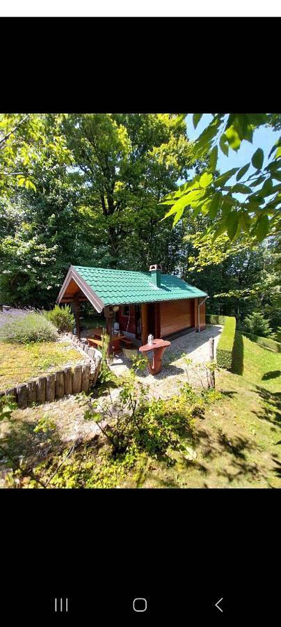 Domek letniskowy dla 2 osób, z ogród i taras oraz widok, zwierzęta dozwolone w Chorwacja