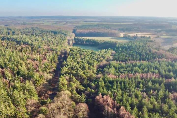 Ferienhaus für 8 Personen, mit Garten in Wingst - 3