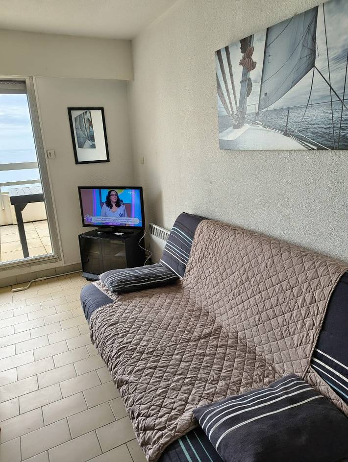 Gîte pour 6 personnes, avec terrasse et vue sur l’océan, animaux acceptés dans Plage Lazaret - 3