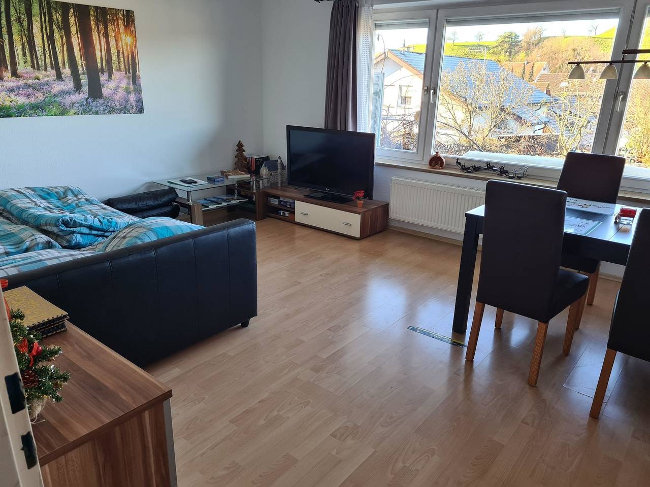 Ganze Ferienwohnung, Ferienwohnung Burgblick in Neuravensburg in Wangen, Region Bodensee-Oberschwaben