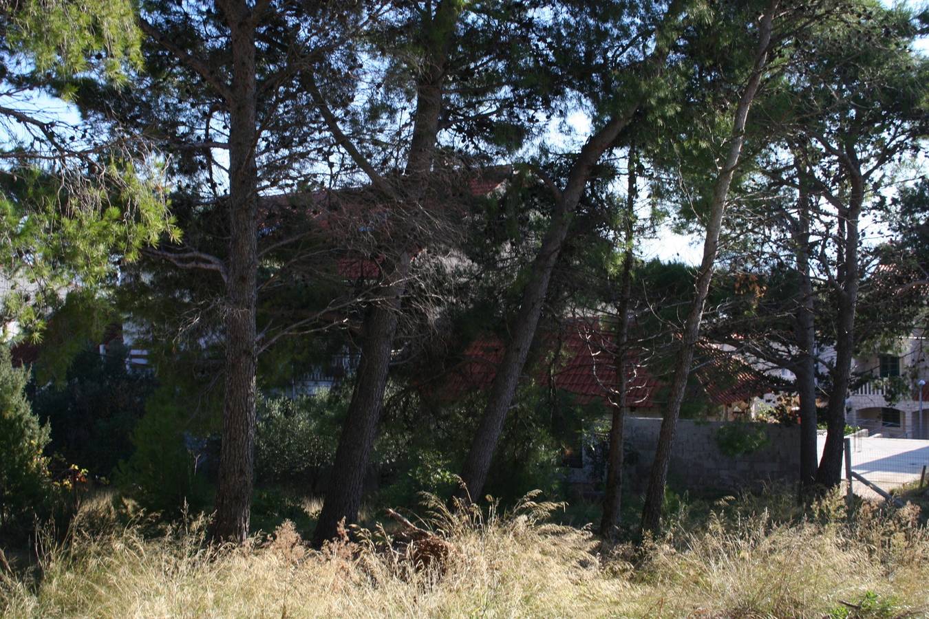 Ganze Wohnung, Apartments with parking space Bol, Brač - 2884 in Bol, Brac