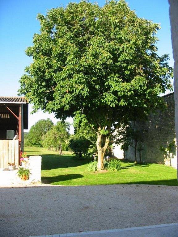 Gite La Campagne - Gîtes La Revetizon in Saint-Pierre-d'Amilly, Région de Rochefort