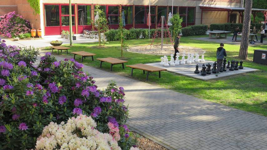 Hütte für 6 Personen, mit Terrasse und Pool in der Lausitz - 2