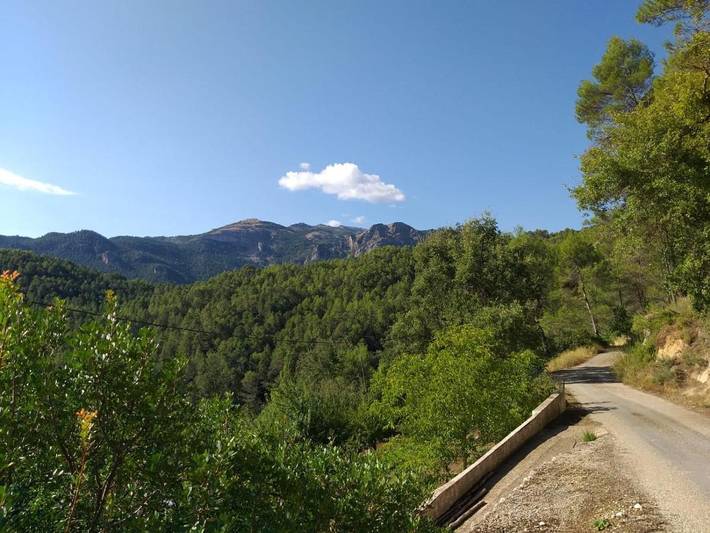 Casa rural para 3 personas, con Balcón y Terraza además de Jardín y Vistas en Provincia de Albacete - 4