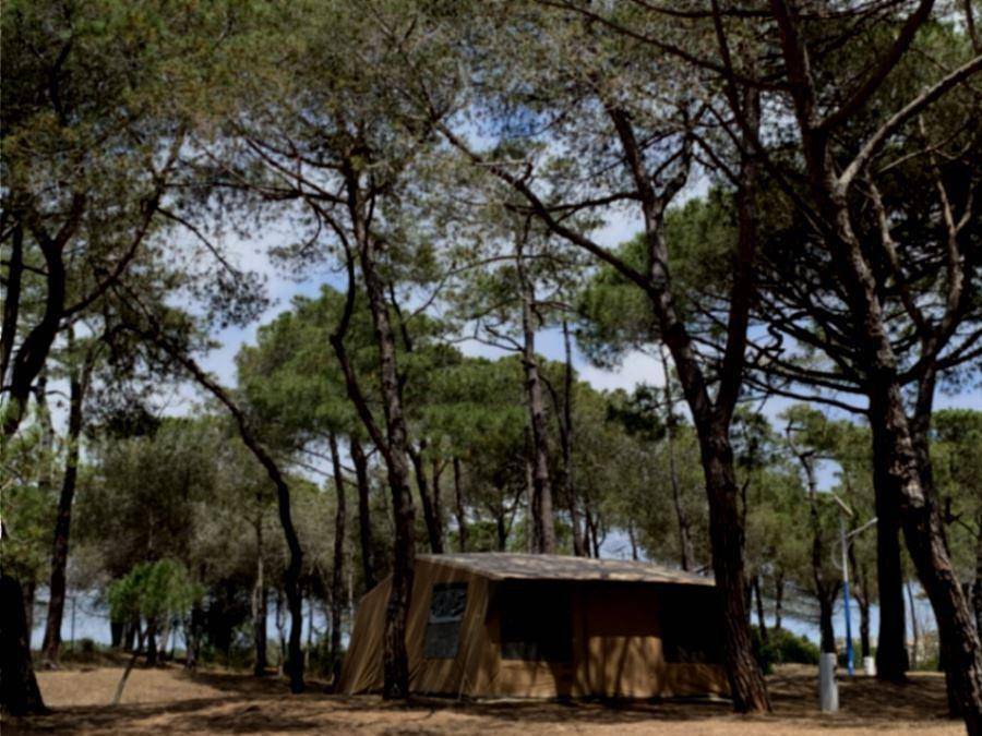 Camping La Tamarissière - Zelt 4 personen - Zelt Escapade in La Tamarissière, Agde
